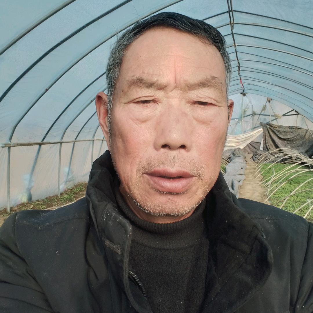 宝爷爷（开播时间早上6:10）