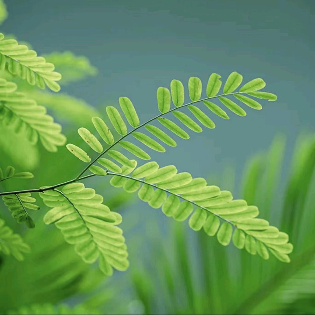 用户945213652785136