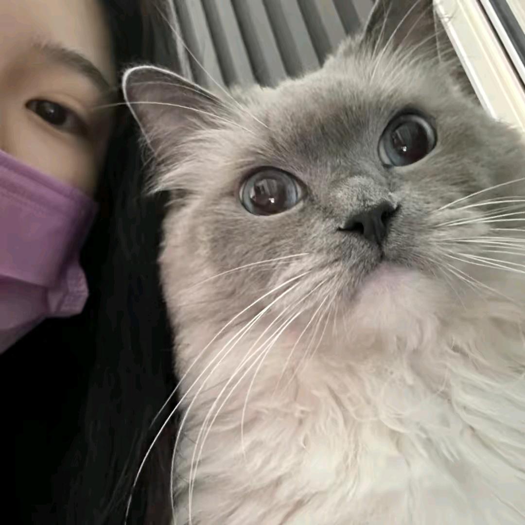 黑色不可说