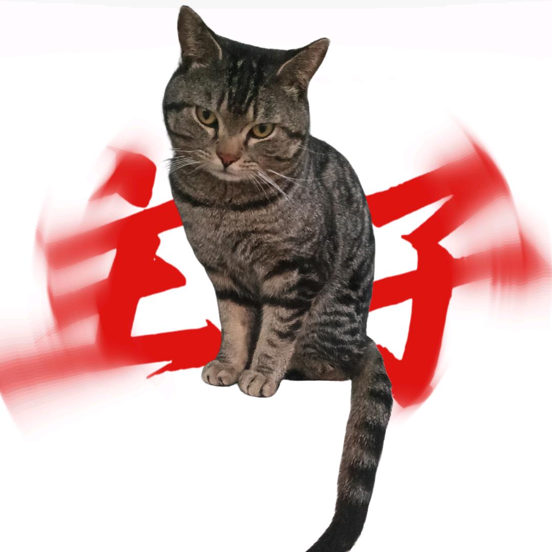 娇娇