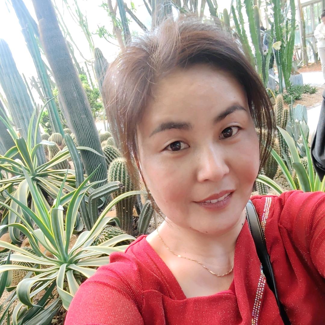 梅梅姐