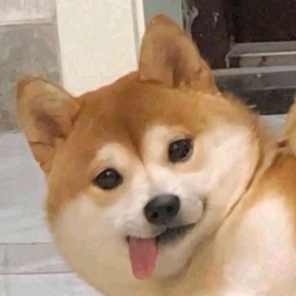 我们去抓水母吧😺