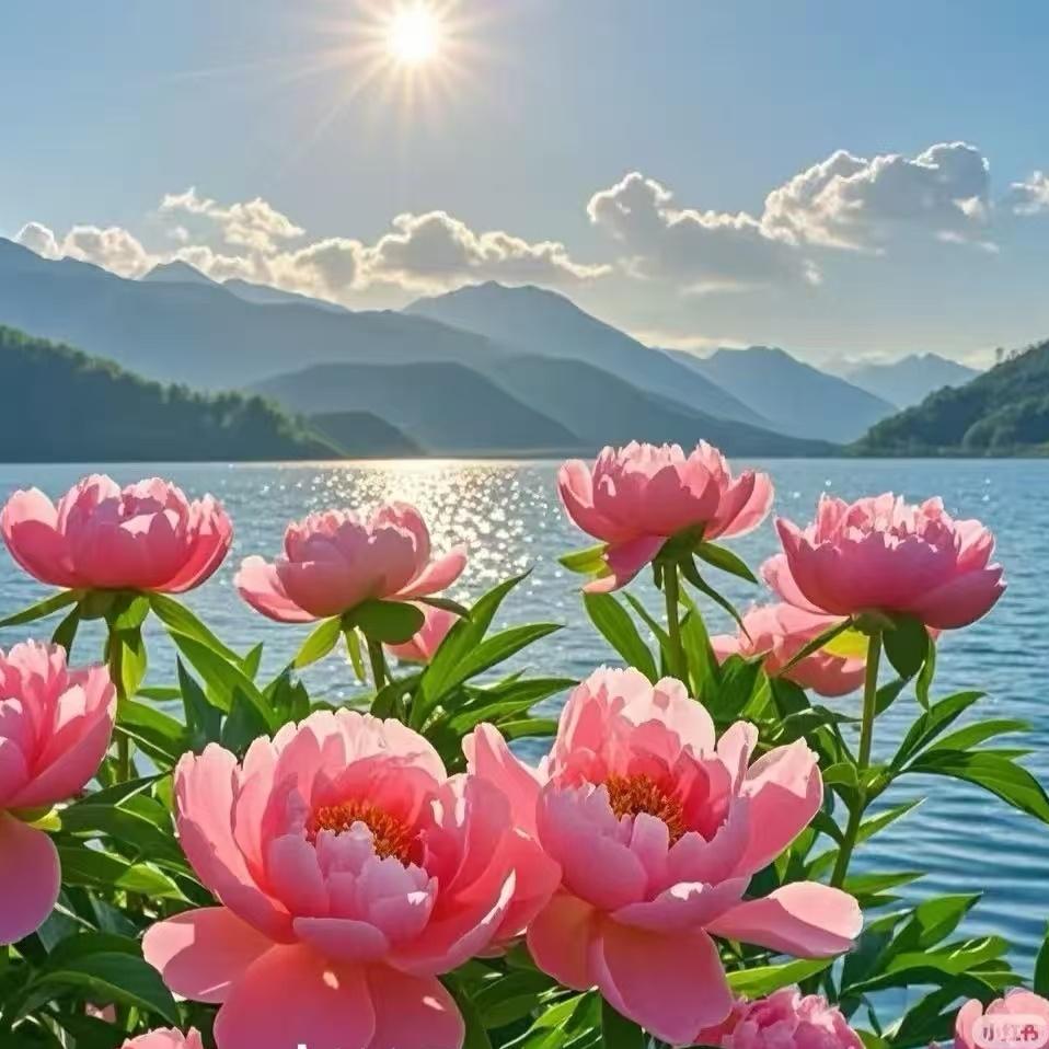 天天开心（拒绝合拍！）