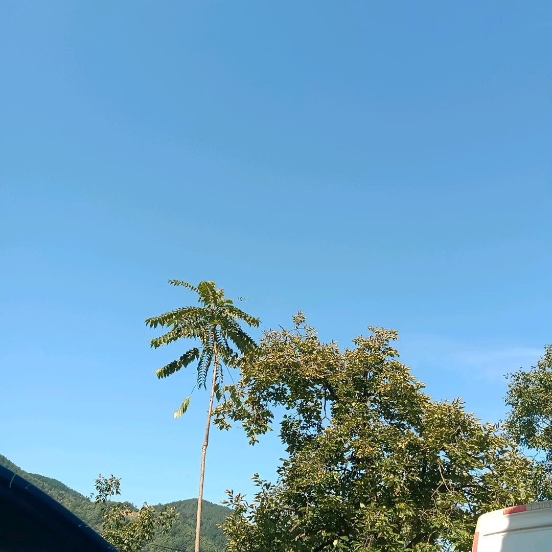 只要运气来的顺当，不怕早上，睡到后上