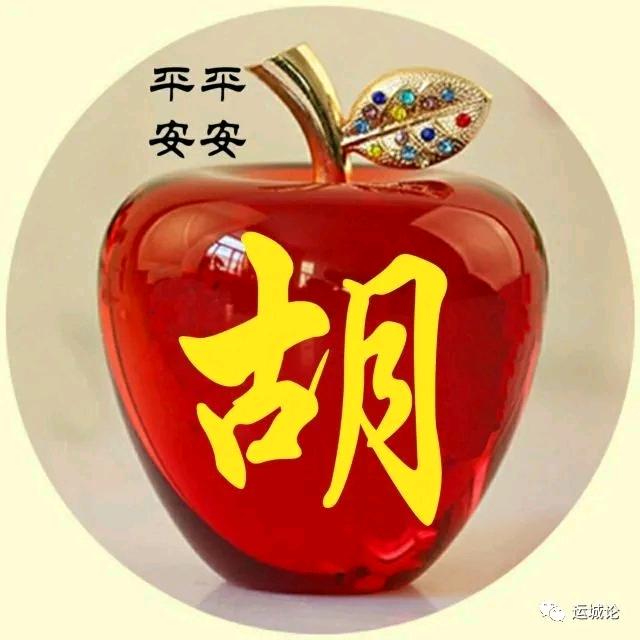医帆凤顺