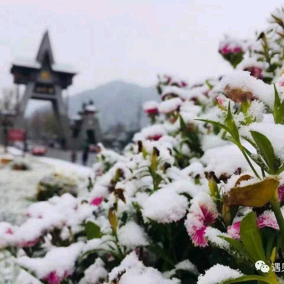 思过