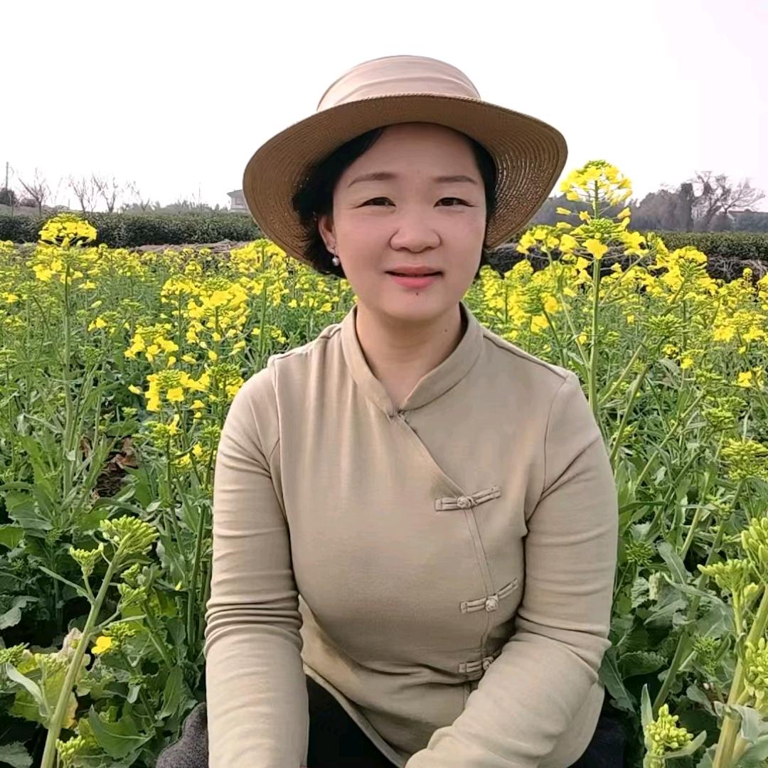 汇秦悦心