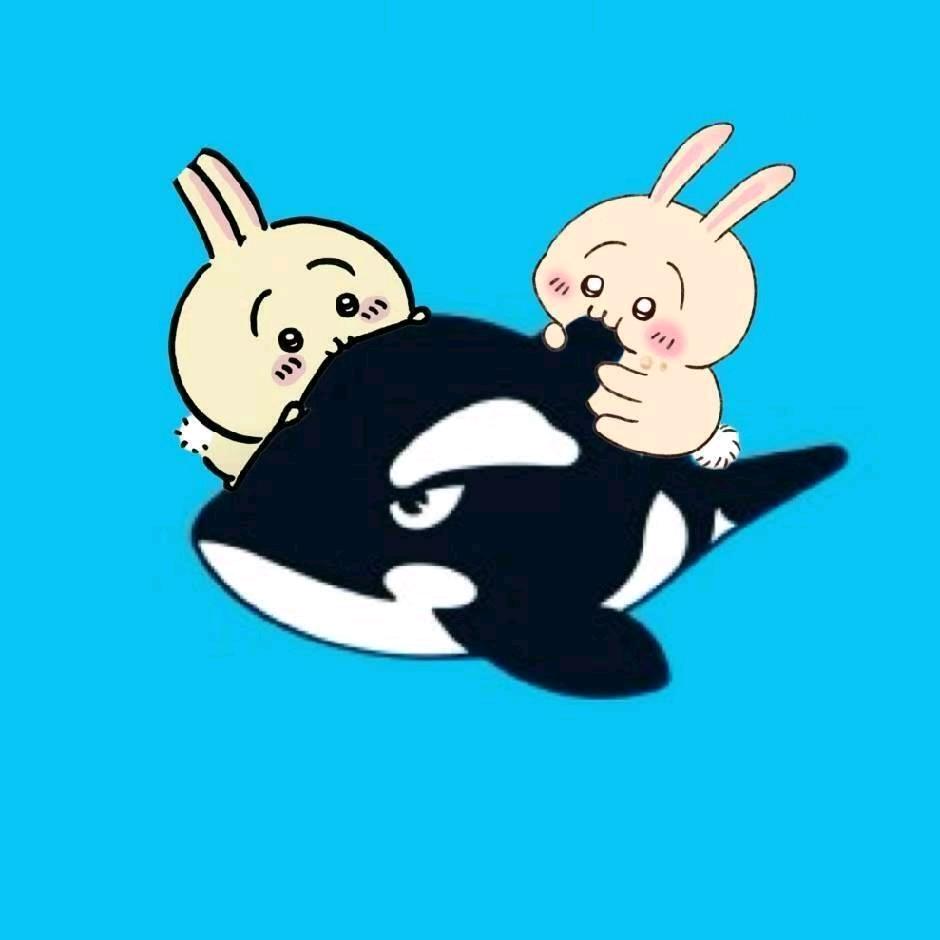 网鱼电竞(仓山万达广场店)专用号