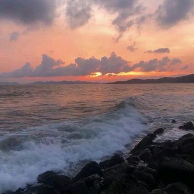 心死道生