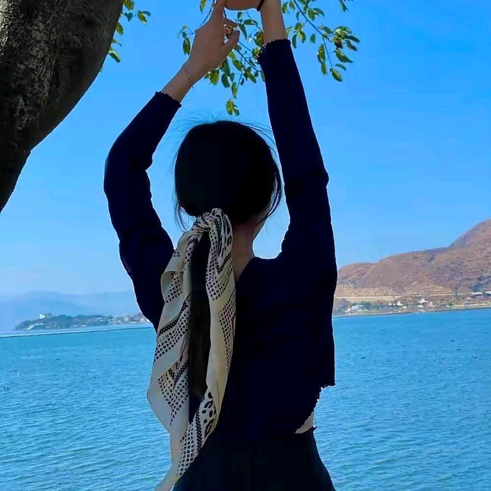 🌶️释怀🍀手势舞