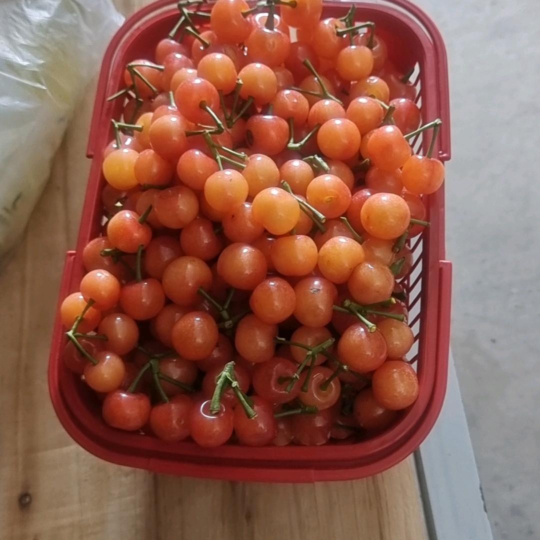 退隐江湖
