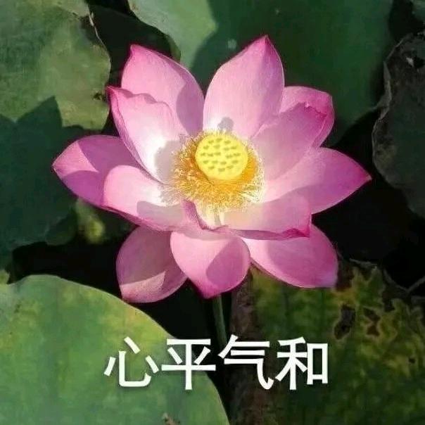 心平气和³