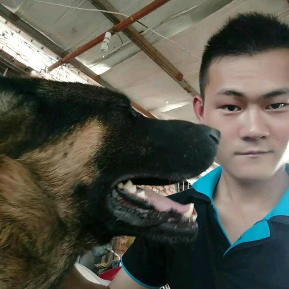狂奔的胖大胖