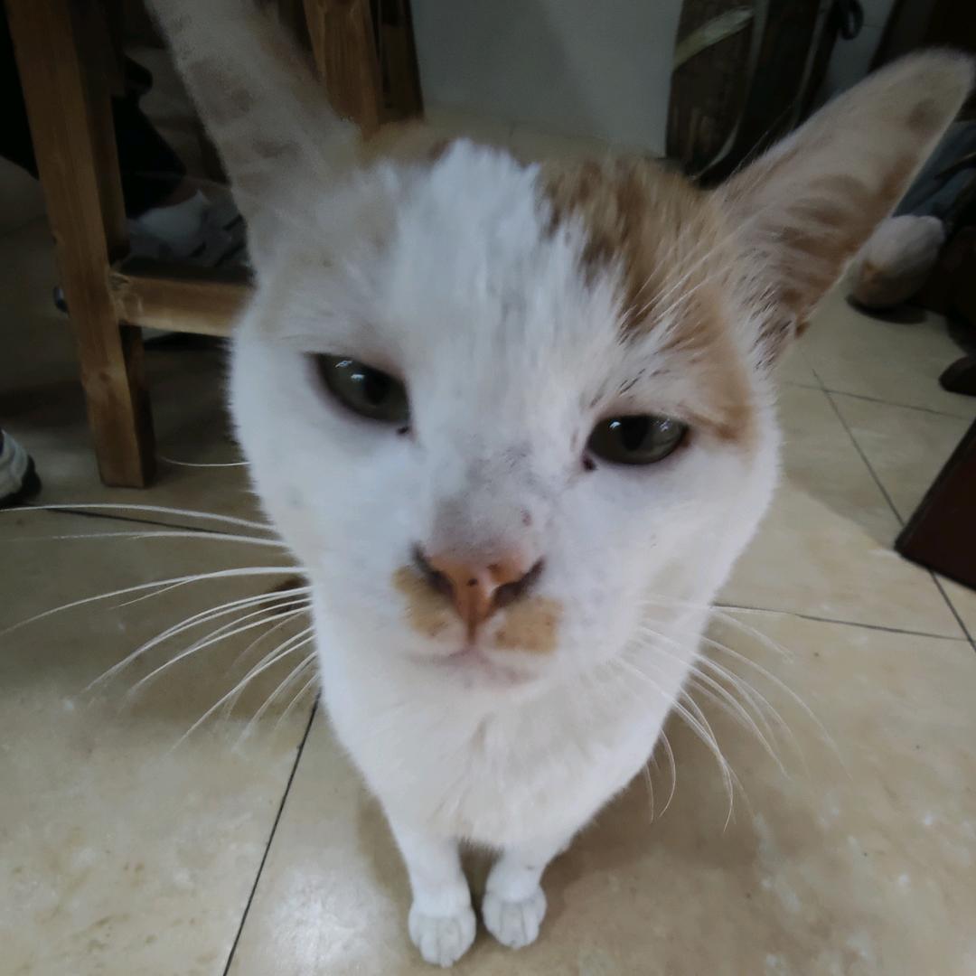 AAA水泥灰批发王哥！