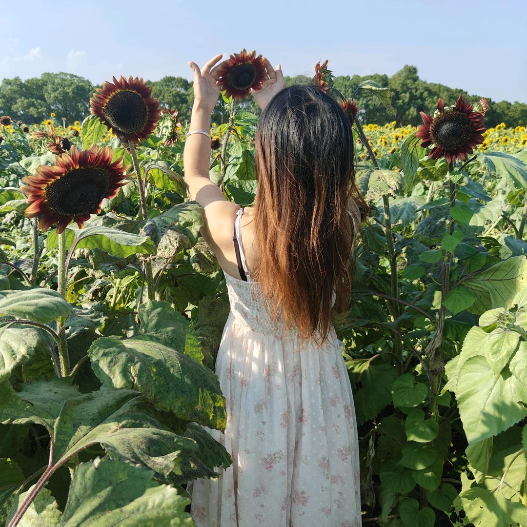 এ᭄厮守┈這份情⁵²⁰এ