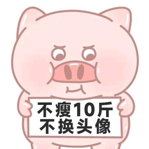 随&&意