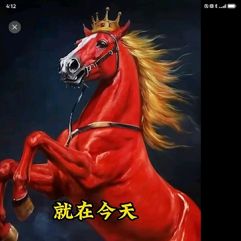 龙马恒通