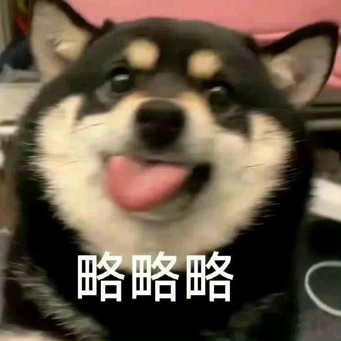 禾舟