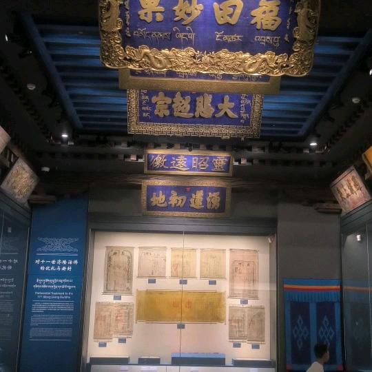 心随你动