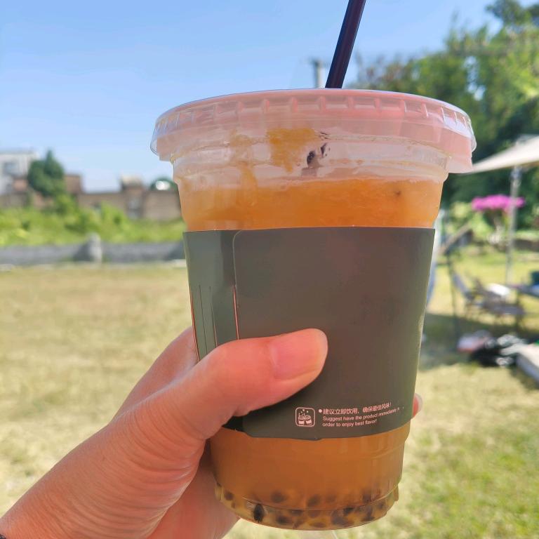 握住仙人掌🌵的🐷