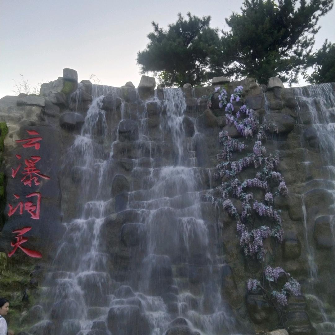 张网有余