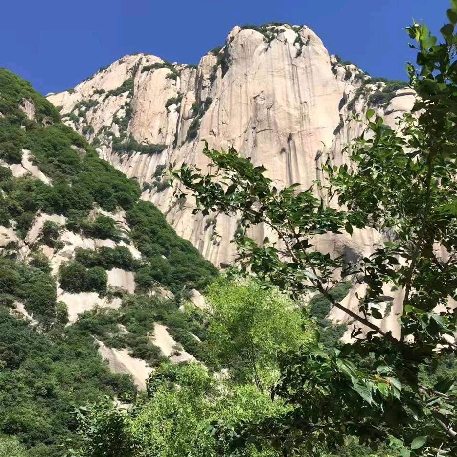 万物之源