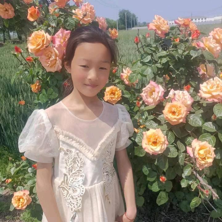 快快乐乐的人生