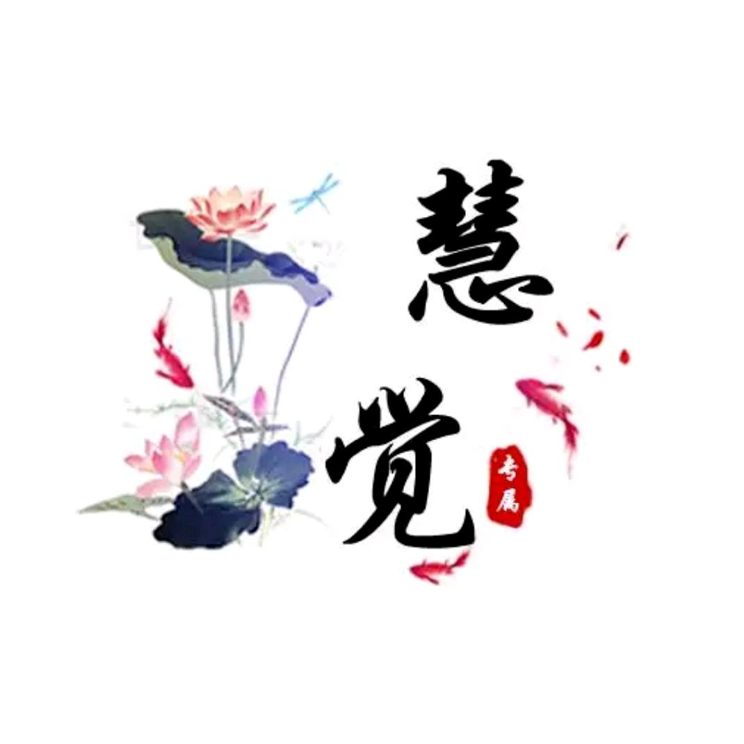 慧觉十四