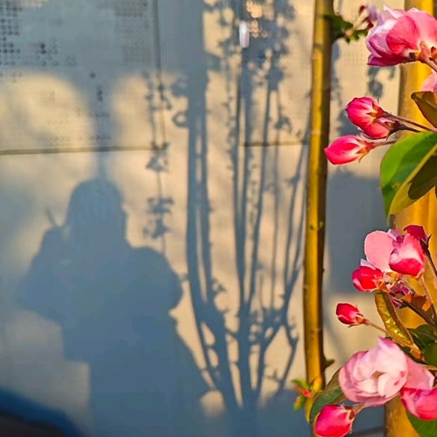 我是一月的摩羯