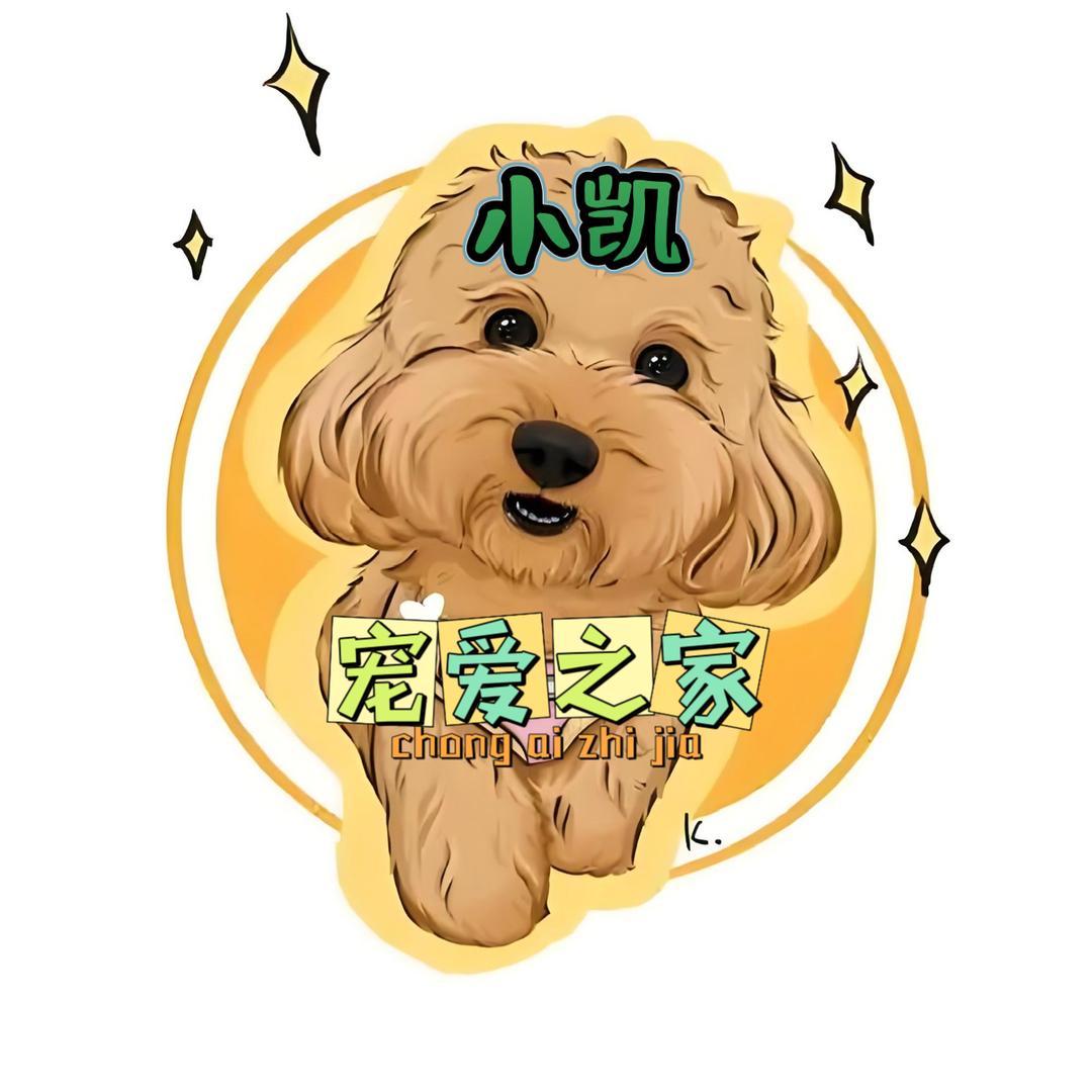 盘锦流浪动物救助小凯