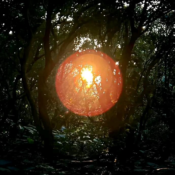 💕᭄ꦿ很幸运ོ࿆遇见你᭄🕊