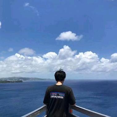 爱贪玩的小李子