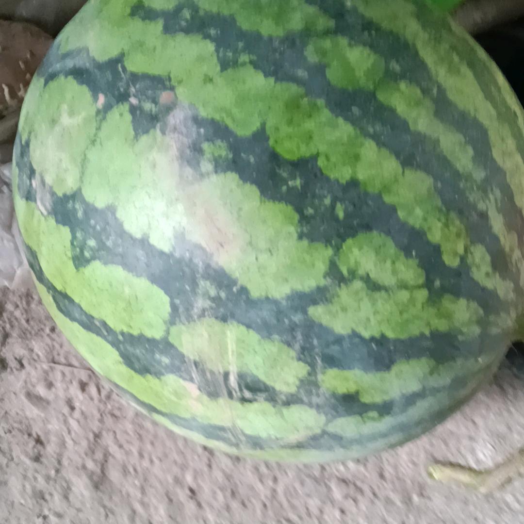 生容易活容易生活𣎴容易