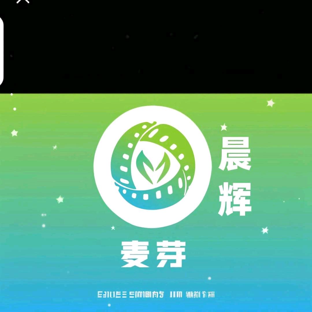 晨辉影视
