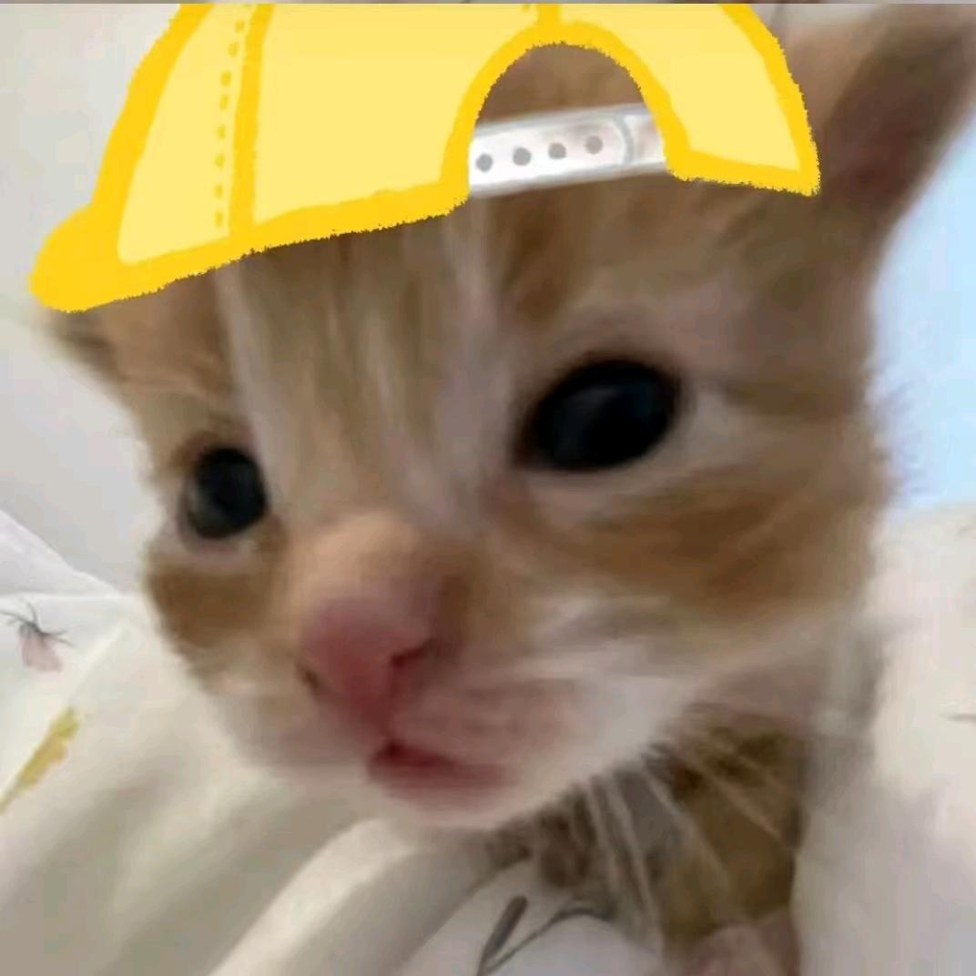 《，》