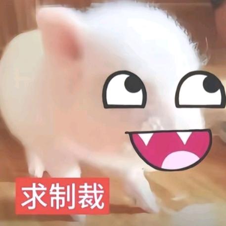 楚梦洁