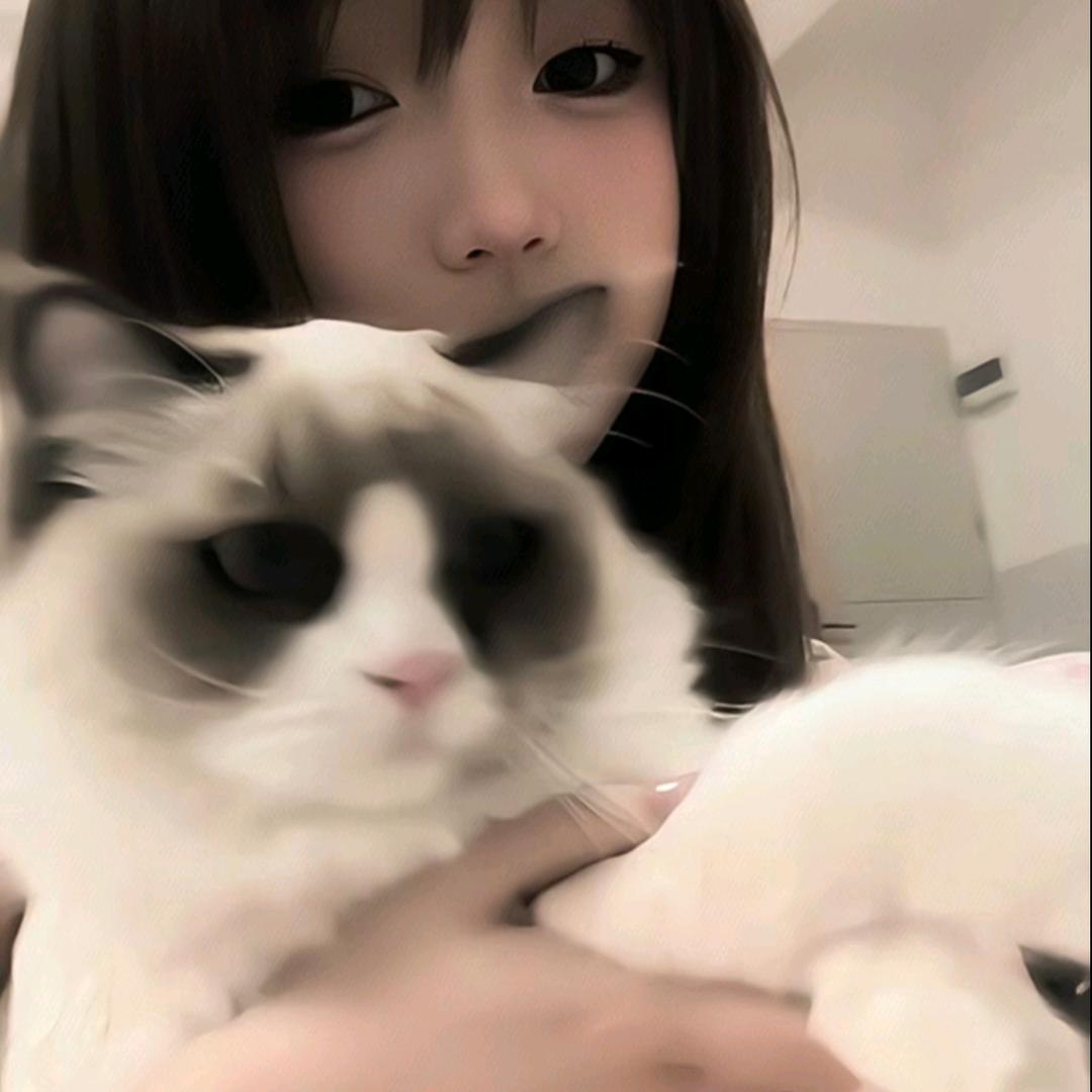 小猫.