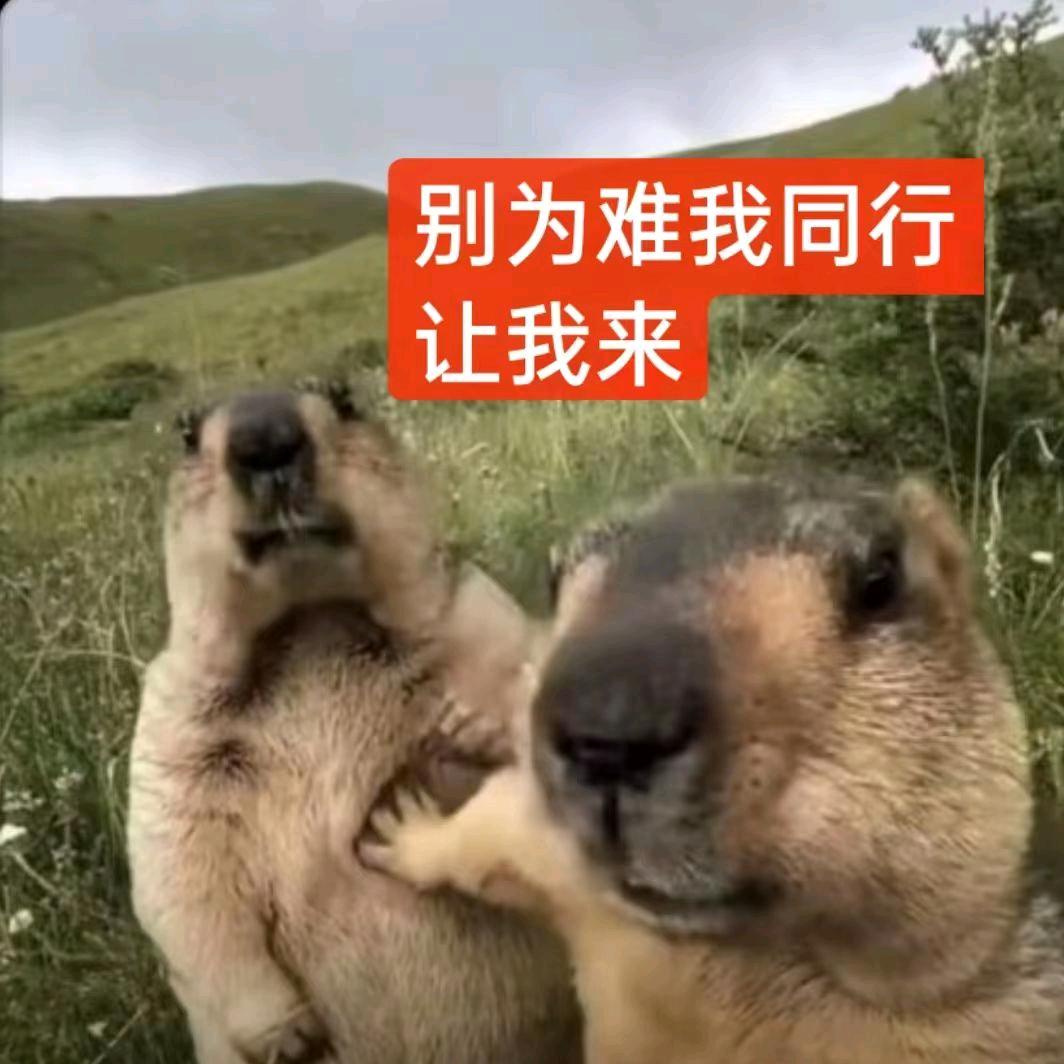 充电宝安装&售后@小烽