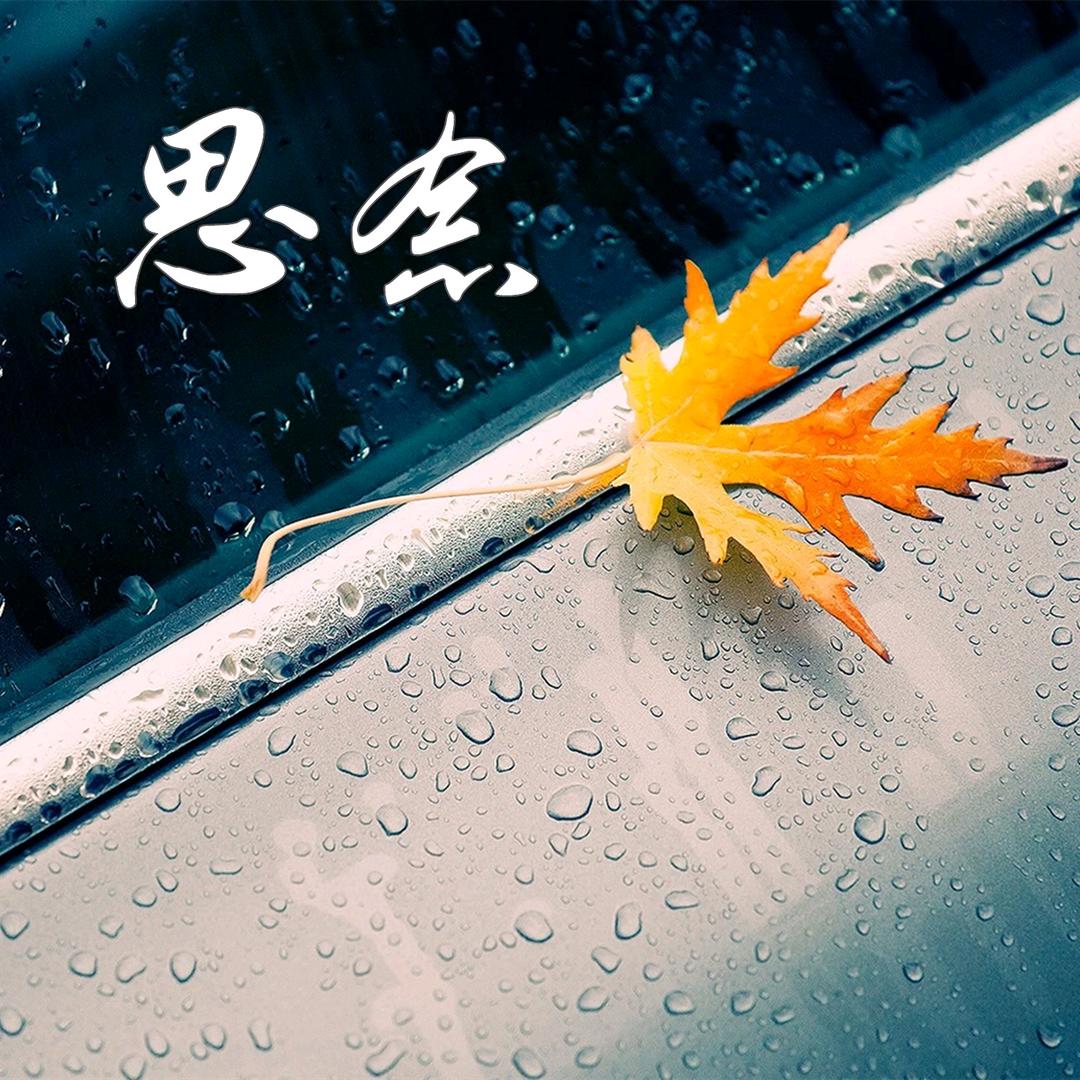 思念成何