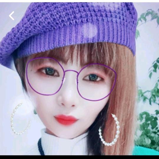 飞翔的紫燕