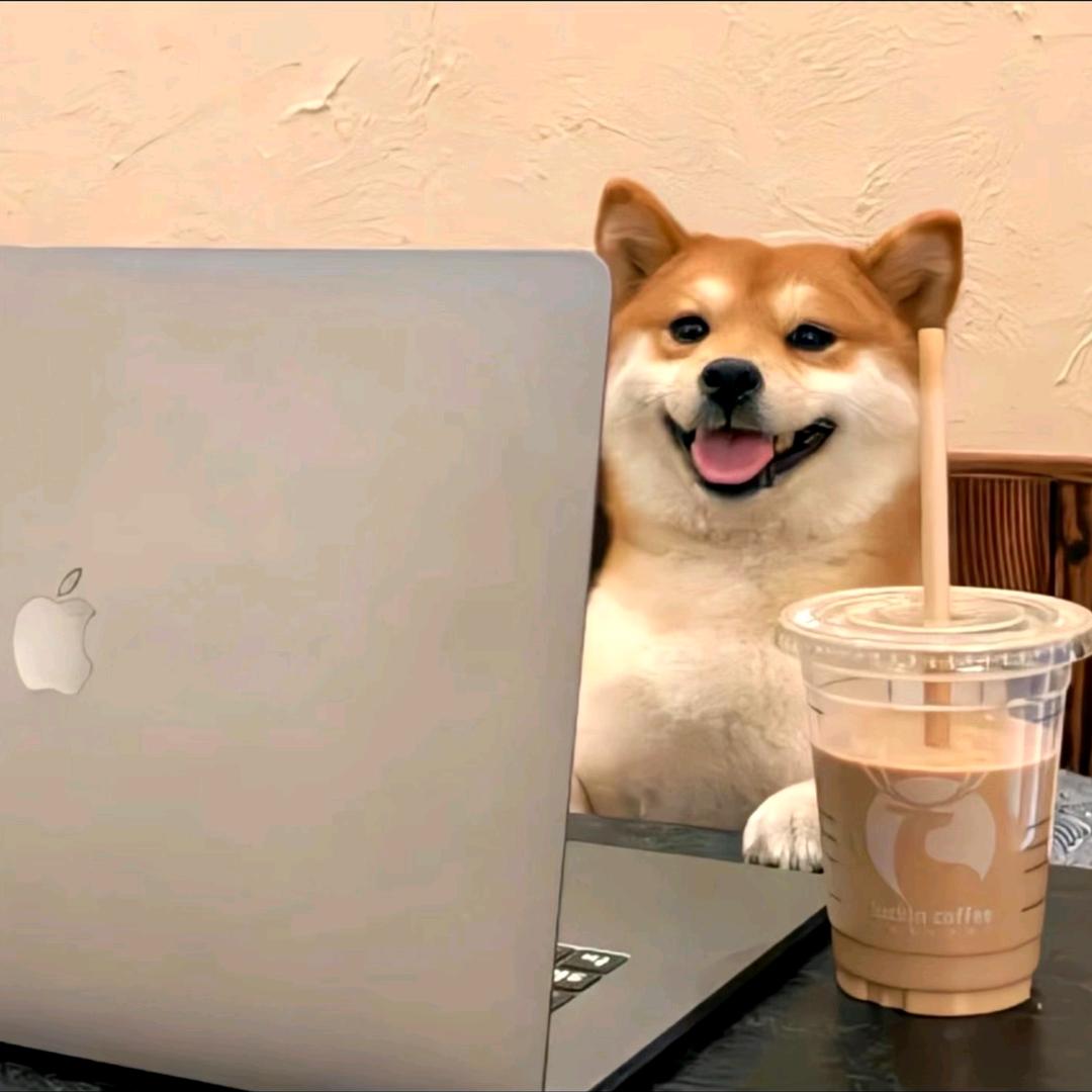 leelixf