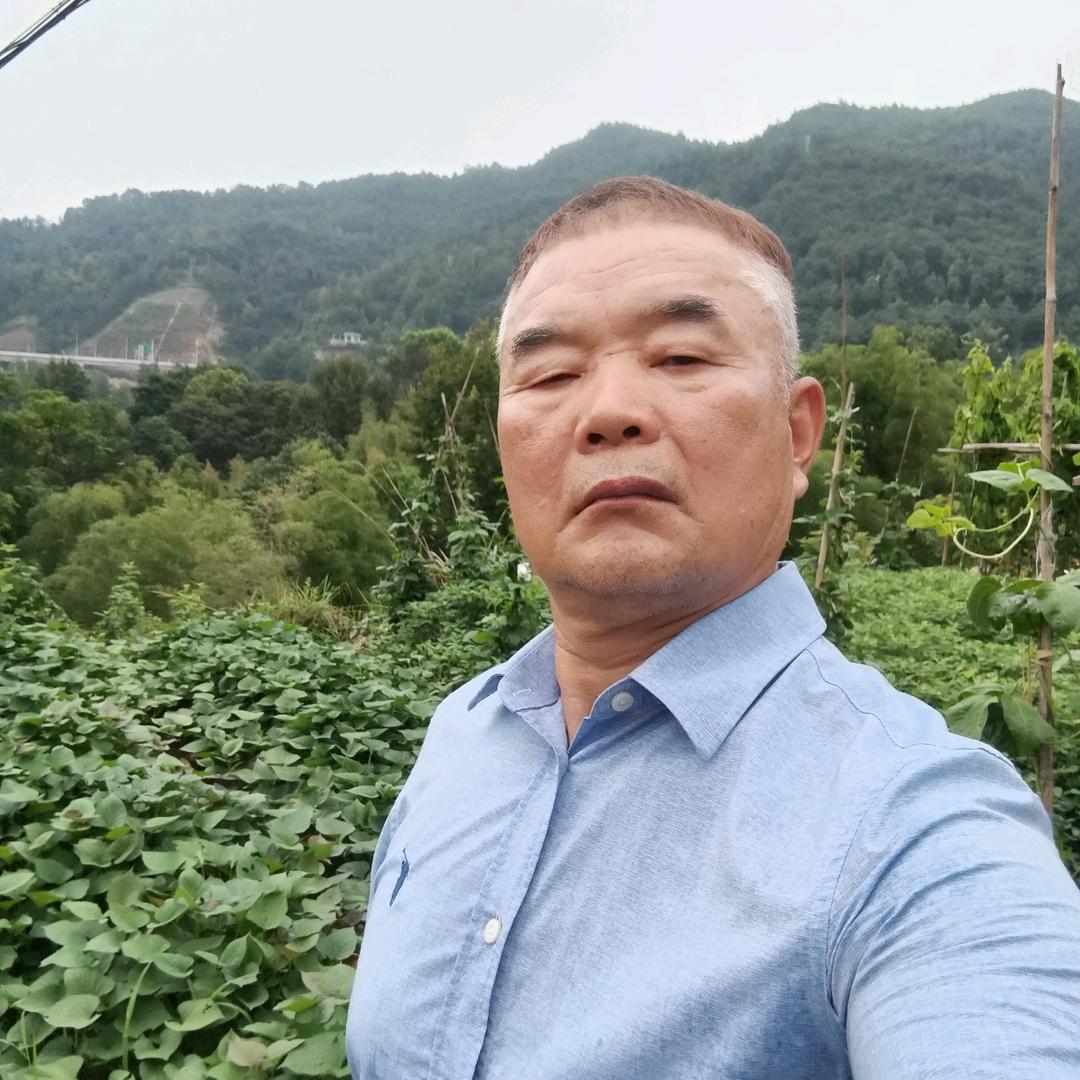 陈晨爸（早上8点20首播）