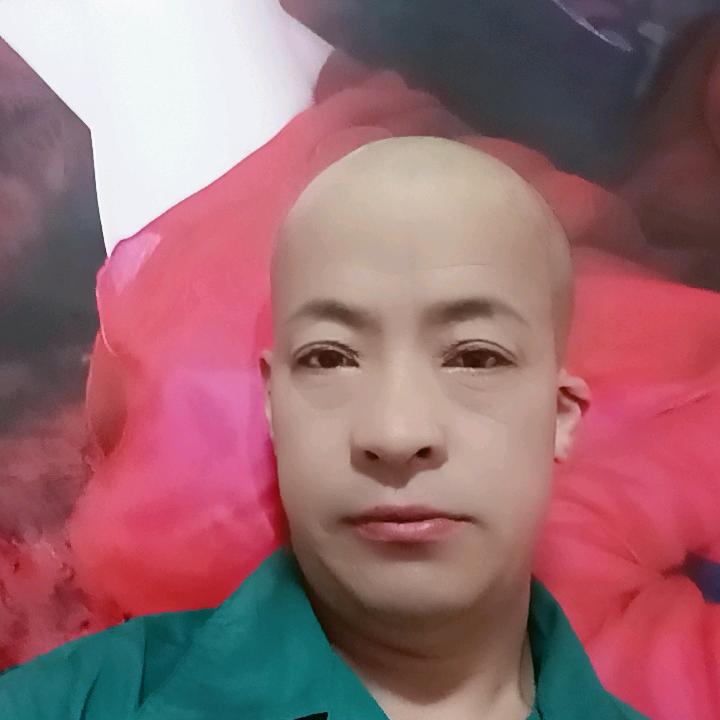 幸福的光头强
