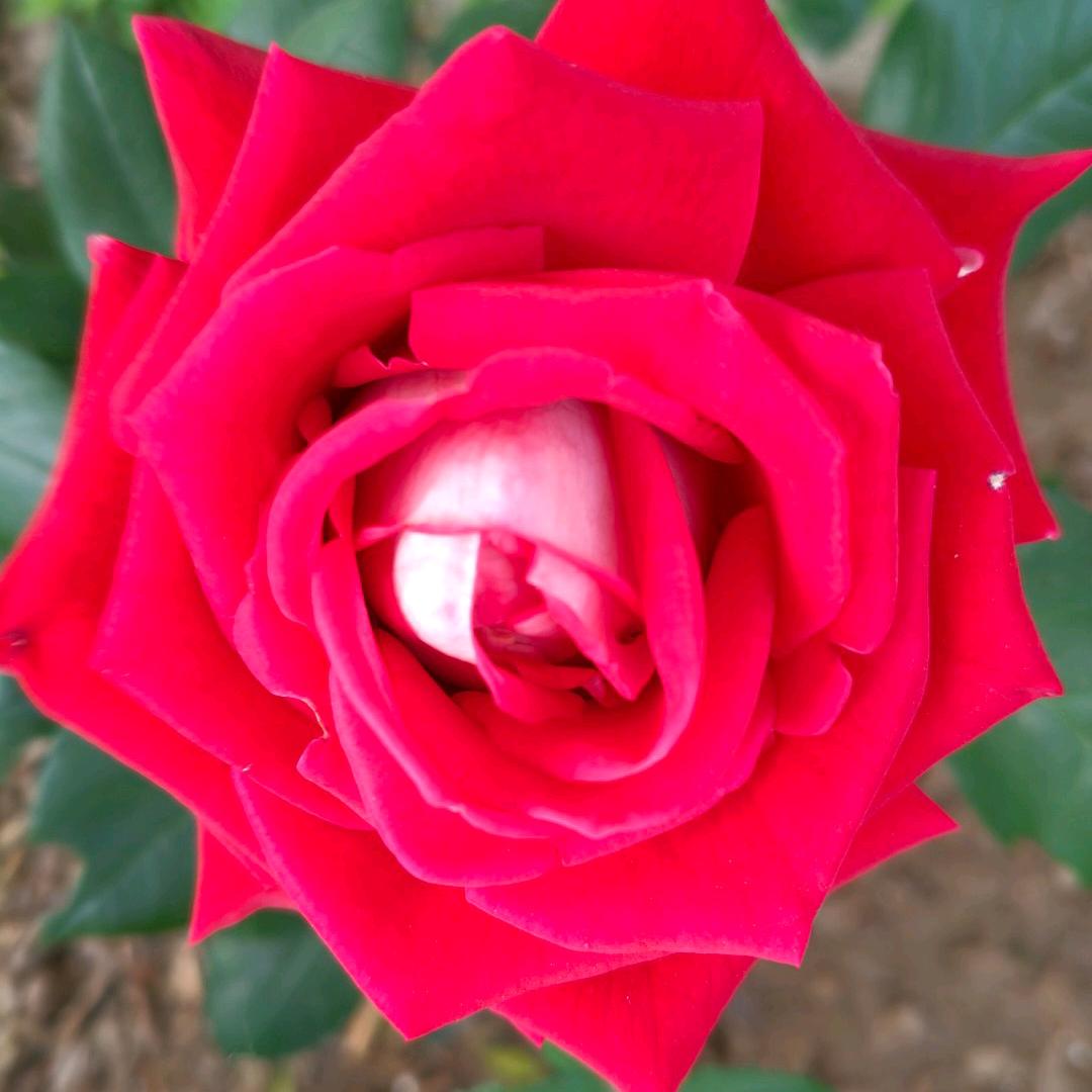 一路有你_187892416