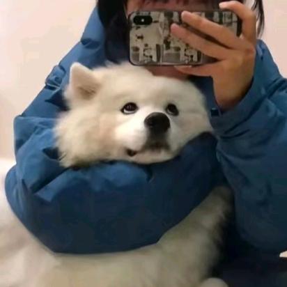 !。!