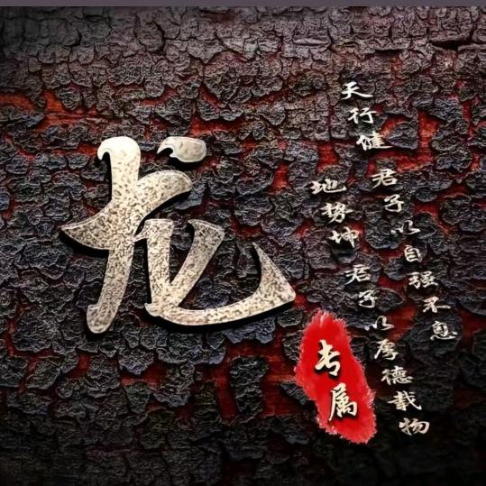 龙哥