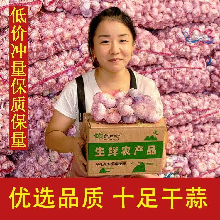 可乐有点甜🥤的头像