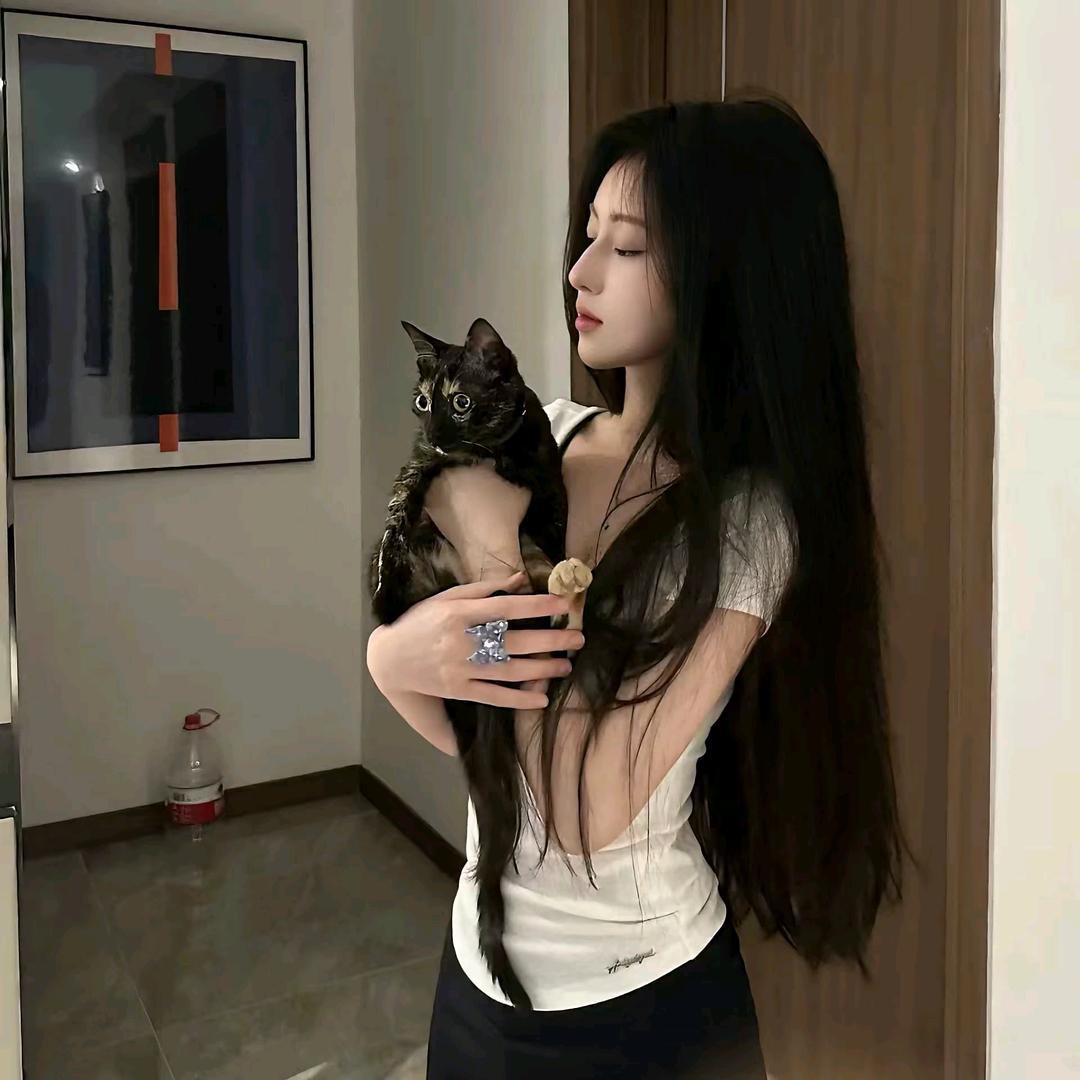 我的猫呢