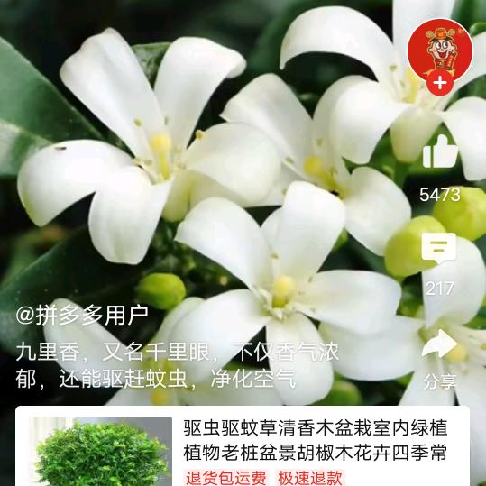 往事随风