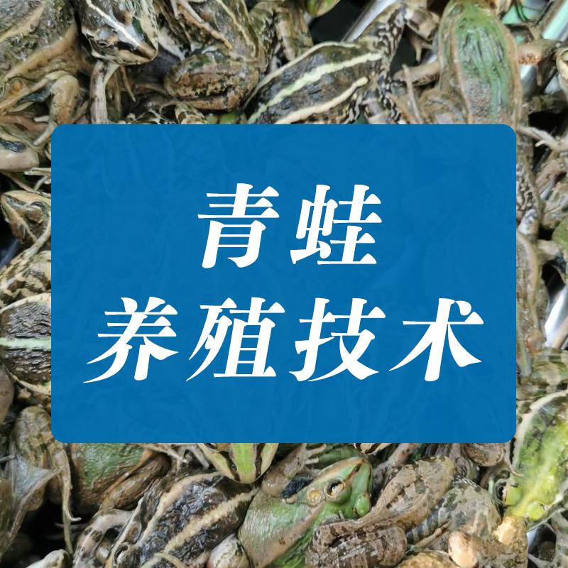 青蛙博士